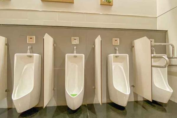 Auto Flush Systems